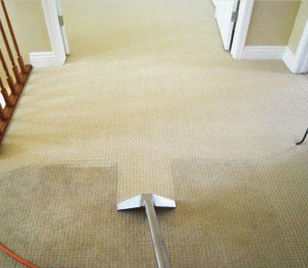 Hot Water Extraction Carpet Cleaning Reservoir